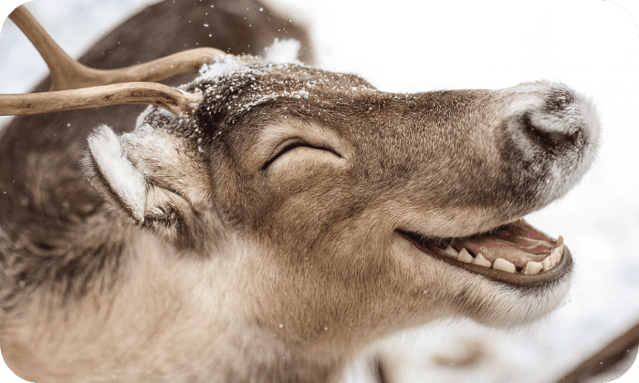 先輩写真イメージ